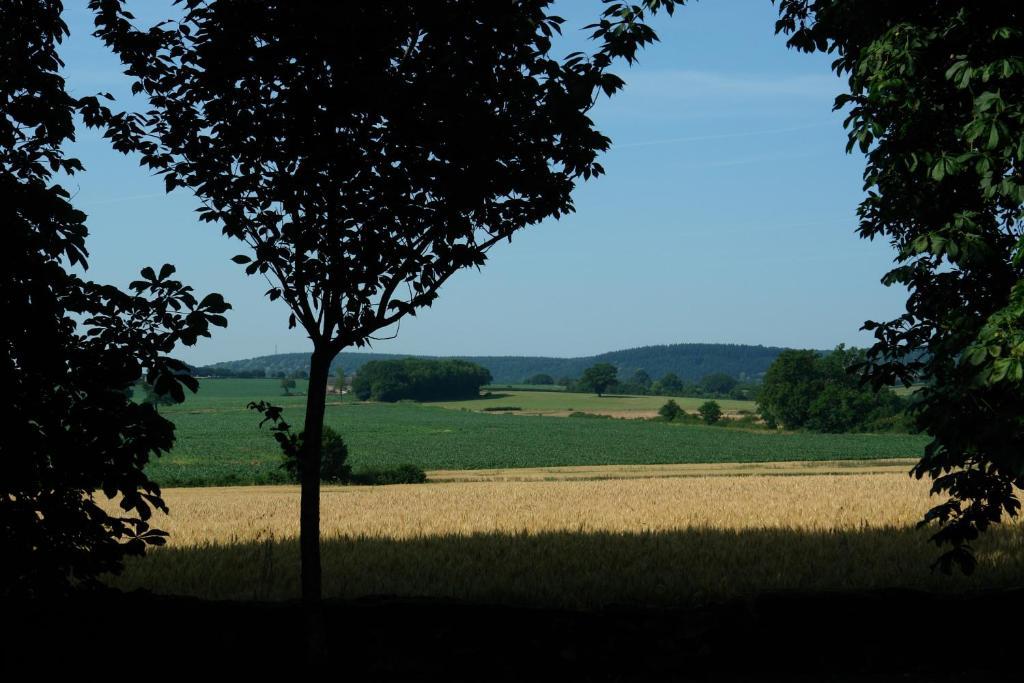 Chambres D'Hotes - Domaine Des Perrieres Crux-la-Ville エクステリア 写真